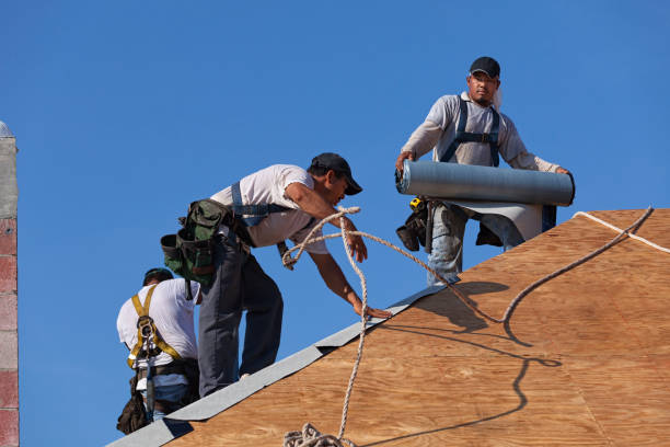 Best Roof Repair Services  in Coushatta, LA